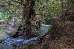 04-Nahal-Hermon