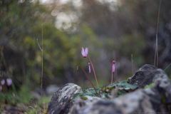 01-Nahal-Mearot-Nature-Preserve