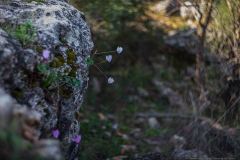 04-Nahal-Mearot-Nature-Preserve