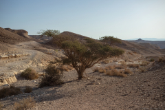 01-Nahal-Peres