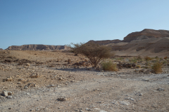 03-Nahal-Peres
