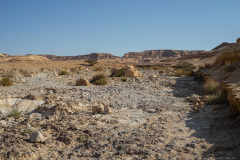 05-Nahal-Peres