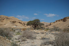 12-Nahal-Peres