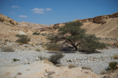 13-Nahal-Peres