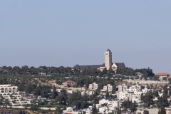 MG_0006