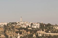 MG_0011