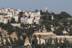 MG_0014-2