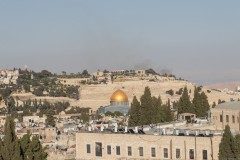 MG_0019