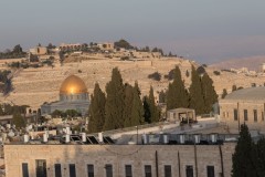 MG_0025-2