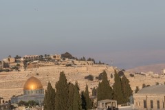 MG_0025-3