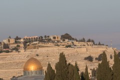 MG_0025-4