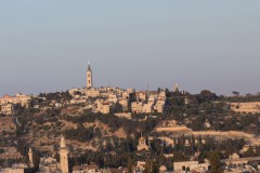 MG_0029