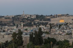 MG_0056
