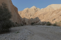 01-Og-Wadi