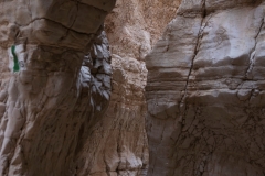 06-Og-Wadi