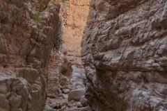 07-Og-Wadi