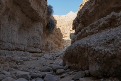08-Og-Wadi
