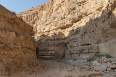 10-Og-Wadi