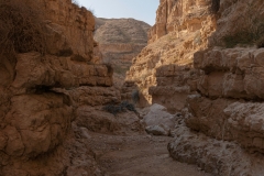 11-Og-Wadi