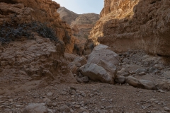 12-Og-Wadi