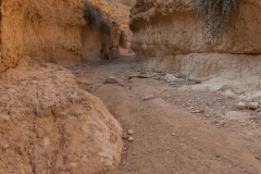 13-Og-Wadi