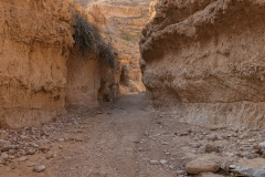 14-Og-Wadi
