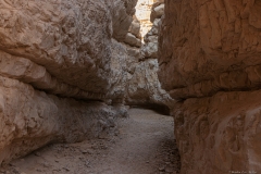 17-Og-Wadi