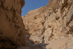19-Og-Wadi