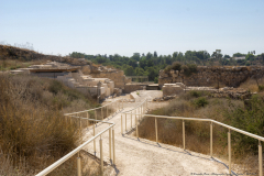 02-Photographic-Eye-Tel-Lachish-DL-DL