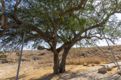 04-Photographic-Eye-Tel-Lachish-DL-DL