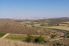 05-Photographic-Eye-Tel-Lachish-DL-DL