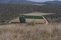 17-Photographic-Eye-Tel-Lachish-ML-ML