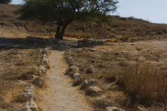 19-Photographic-Eye-Tel-Lachish-ML-ML