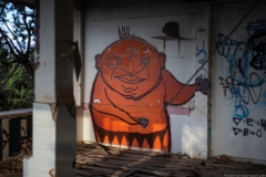 07-Rhamot-Hashavim-graffiti