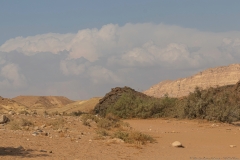 18-Saharonim-Makhtesh-Ramon