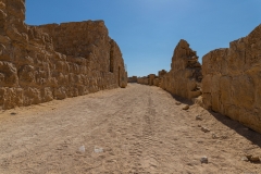 01-שיבטה
