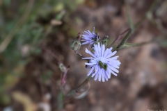 04-Suster-Path-May-2020