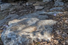 Agmon-Hula-14102019_0012