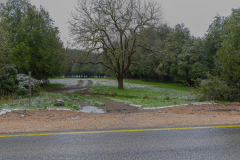 20-Golan-Hights-Round-Trip-March-2025