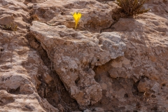 03-Yeruham-Helmonit-Park