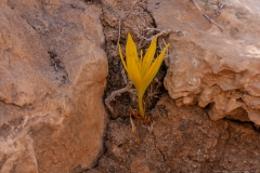 05-Yeruham-Helmonit-Park