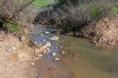 02-Tavor-River