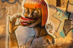 04-Tel-Aviv-CityScape-Patish-St-Graffiti