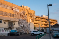 07-Tel-Aviv-CityScape-Patish-St-Graffiti