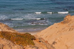 1000D_Landscape0030