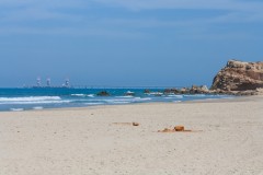 1000D_Landscape0071