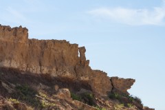 1000D_Landscape0078