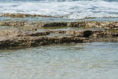 1000D_Landscape0081