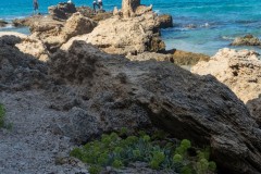 80D_Landscape0059-2