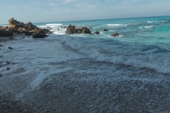 80D_Landscape0071